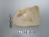 藏品(安平壺底部殘件)的圖片